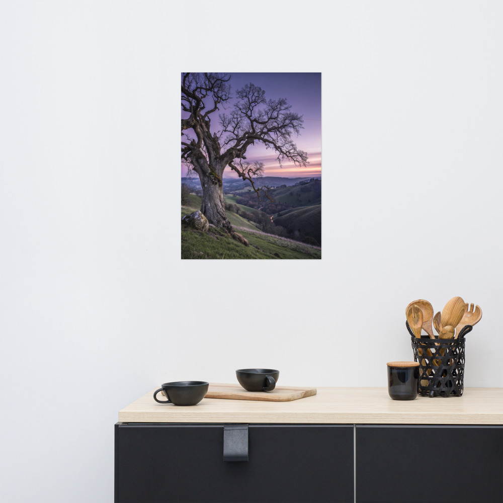 Solitary Sentinel Poster — Ancient Oak Twilight Art Print view 3