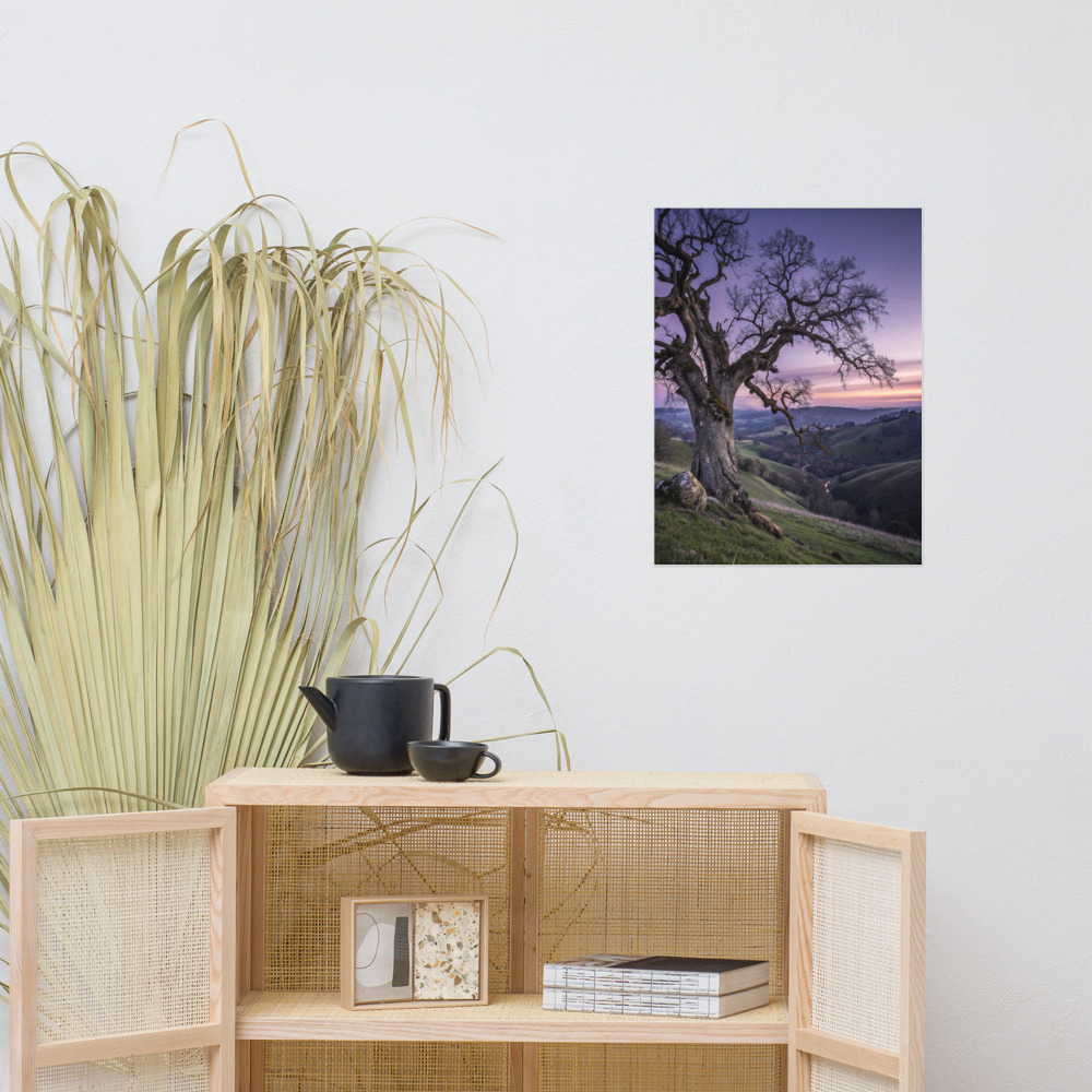 Solitary Sentinel Poster — Ancient Oak Twilight Art Print view 2